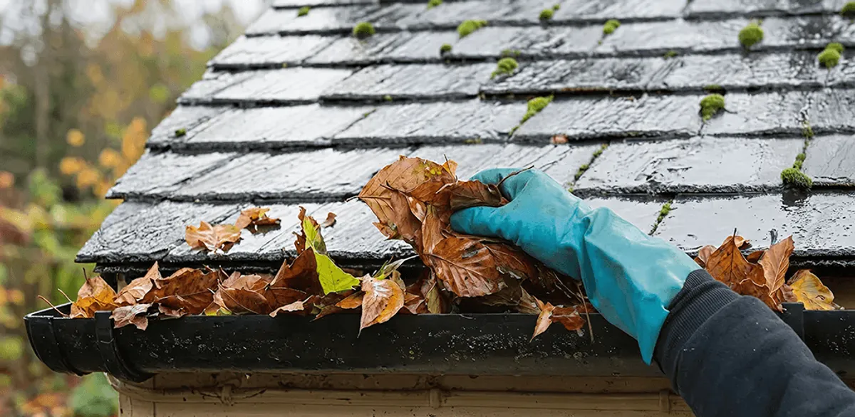 Gutter cleaning technician clearing wet leaves from roof gutters in Orlando, FL